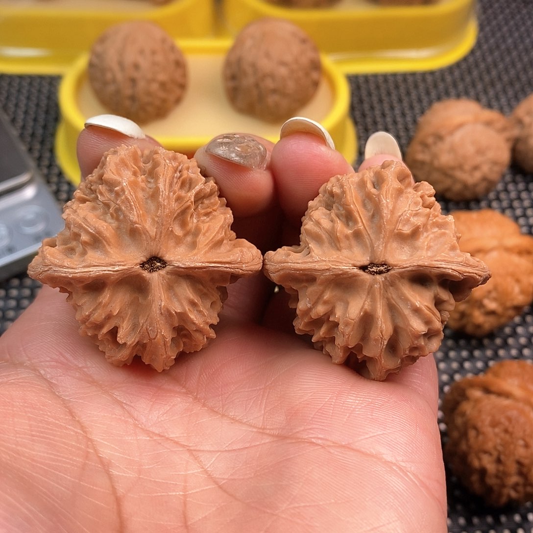 文玩核桃吊坠39尺凤凰岭全品