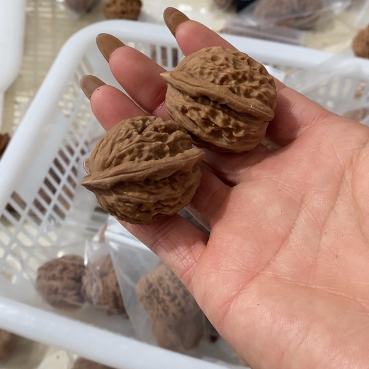 海*大红袍大红袍大红袍