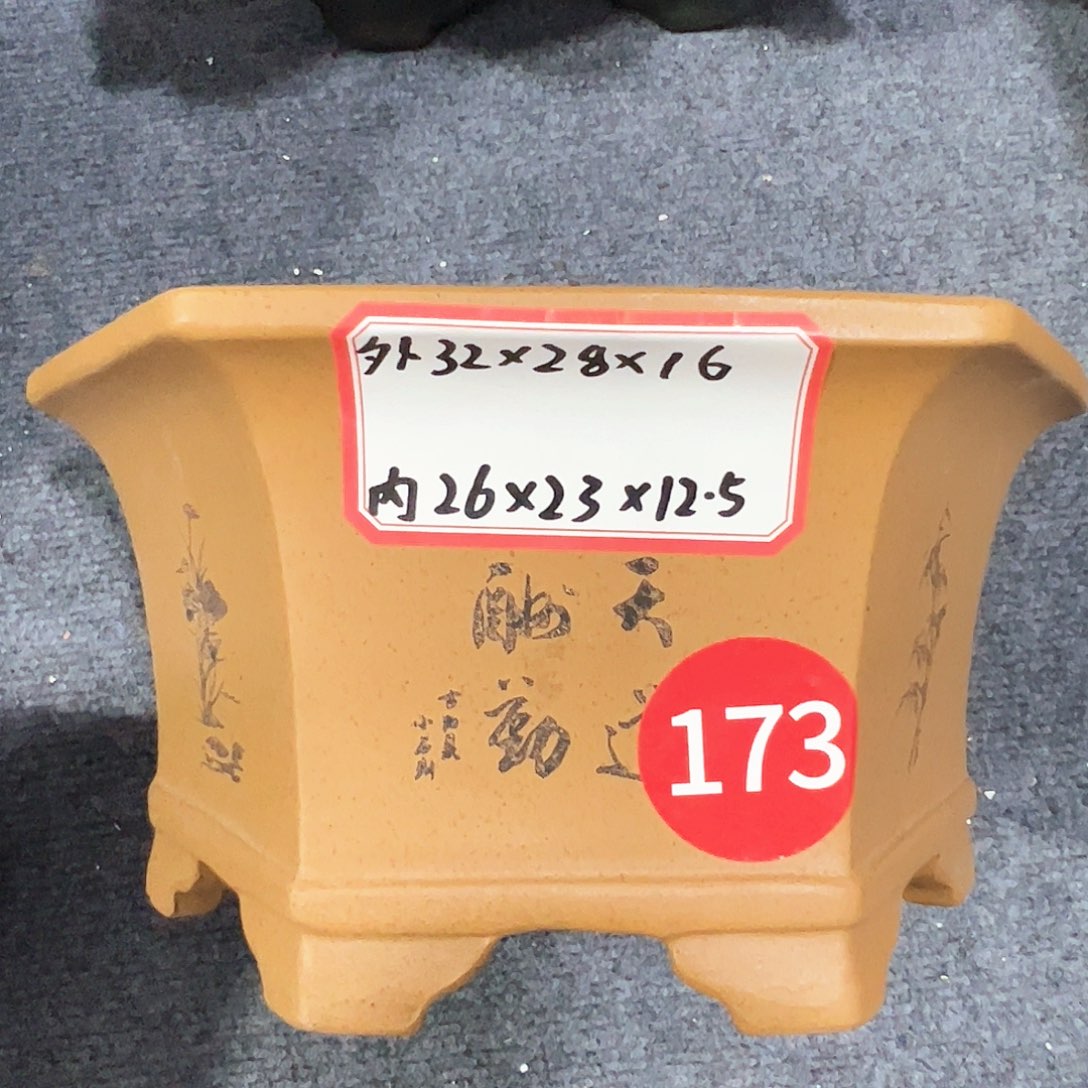 紫砂其他紫砂花盆