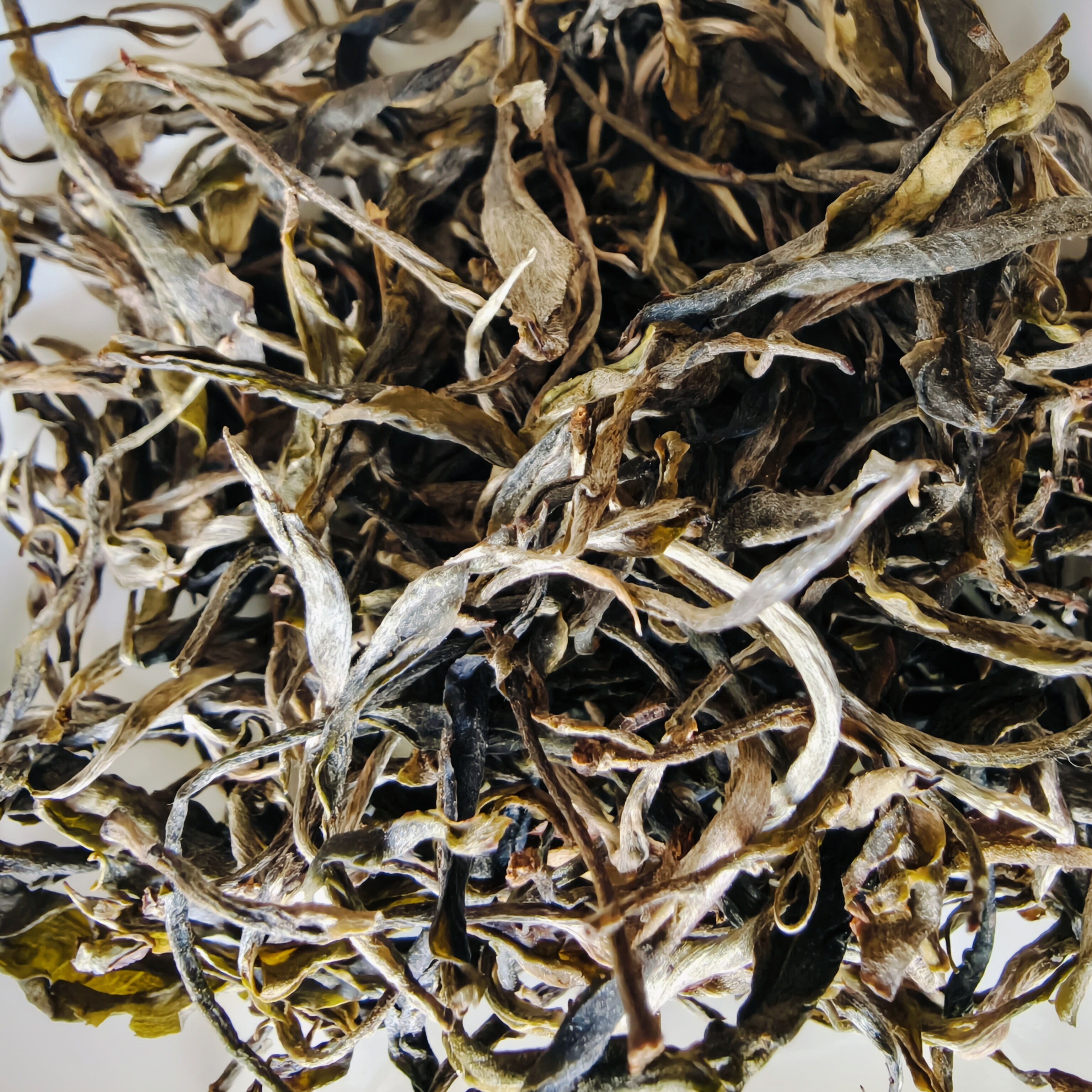 倚邦古树普洱茶 茶汤金黄透亮