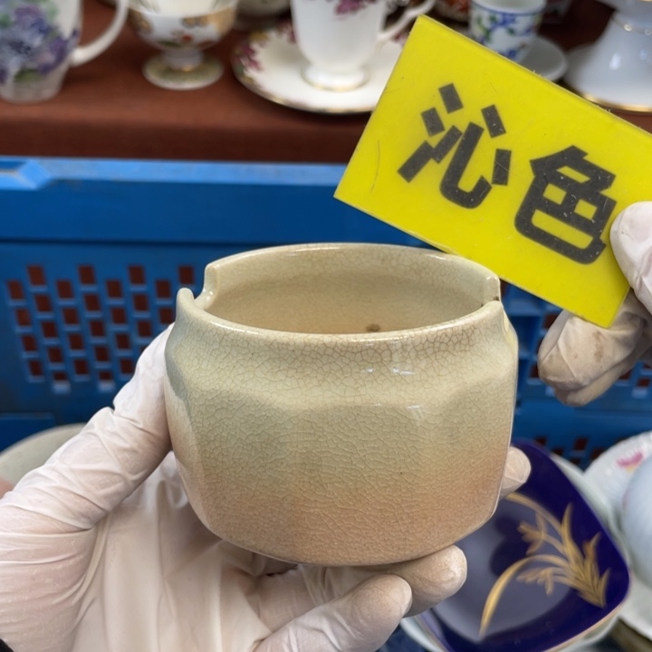 陶他家瓷器真美…开播了