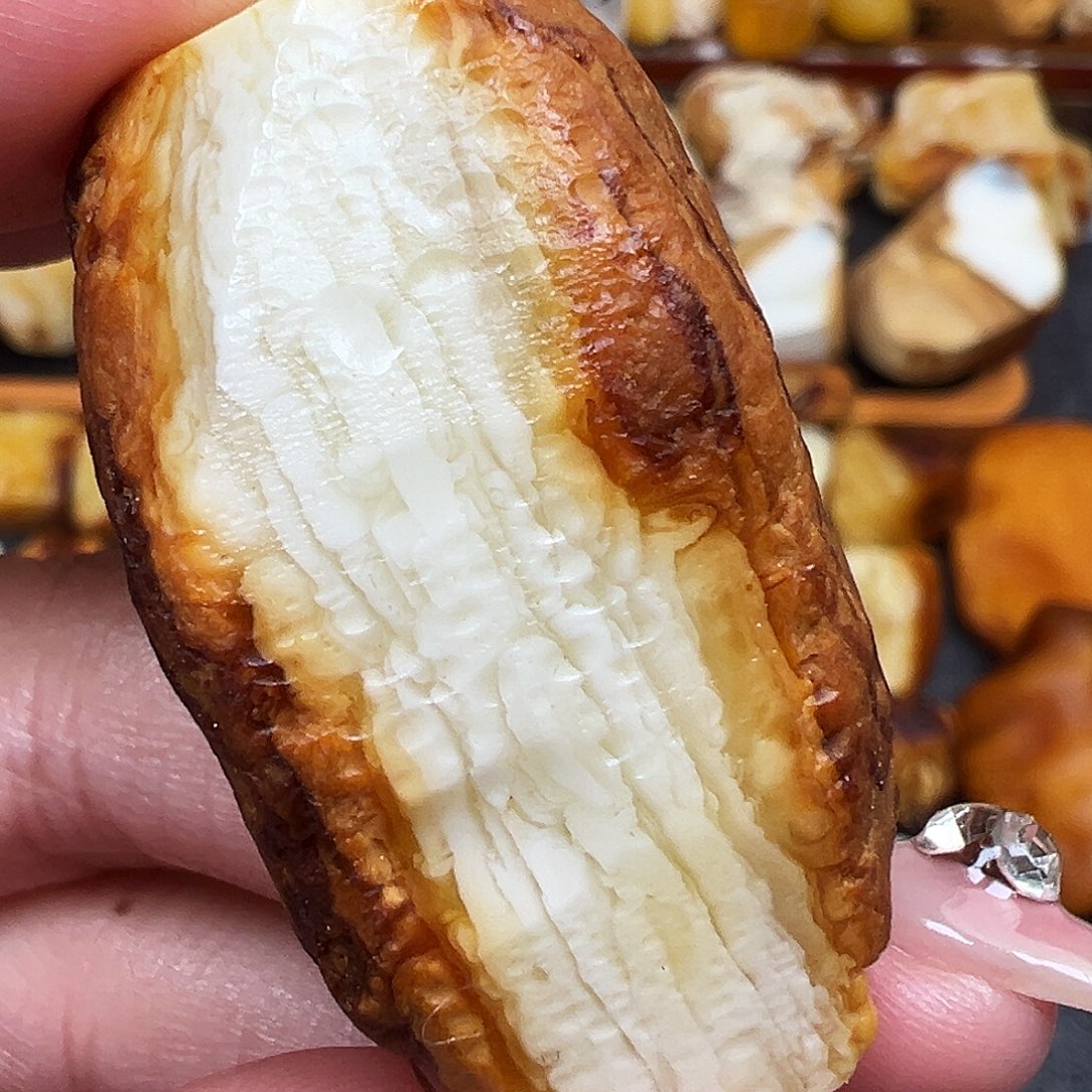 定制琥珀未镶嵌蜜蜡