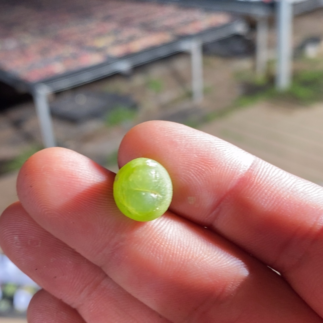 13135有伤一个一个