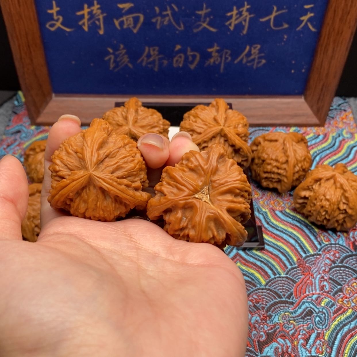 【闪购商品】哈***0白狮