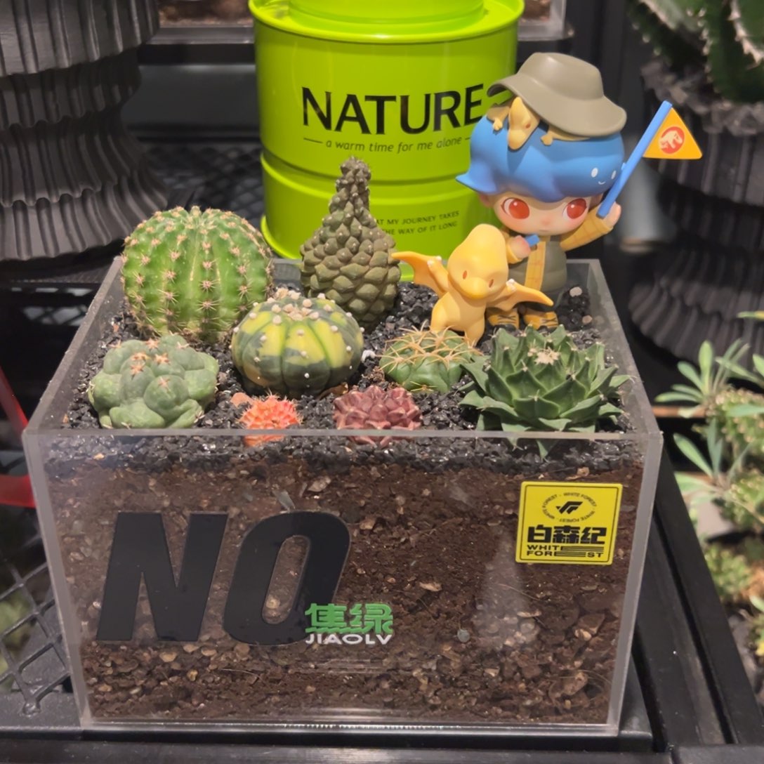 潮流植物微景观一物一拍侏罗纪世界