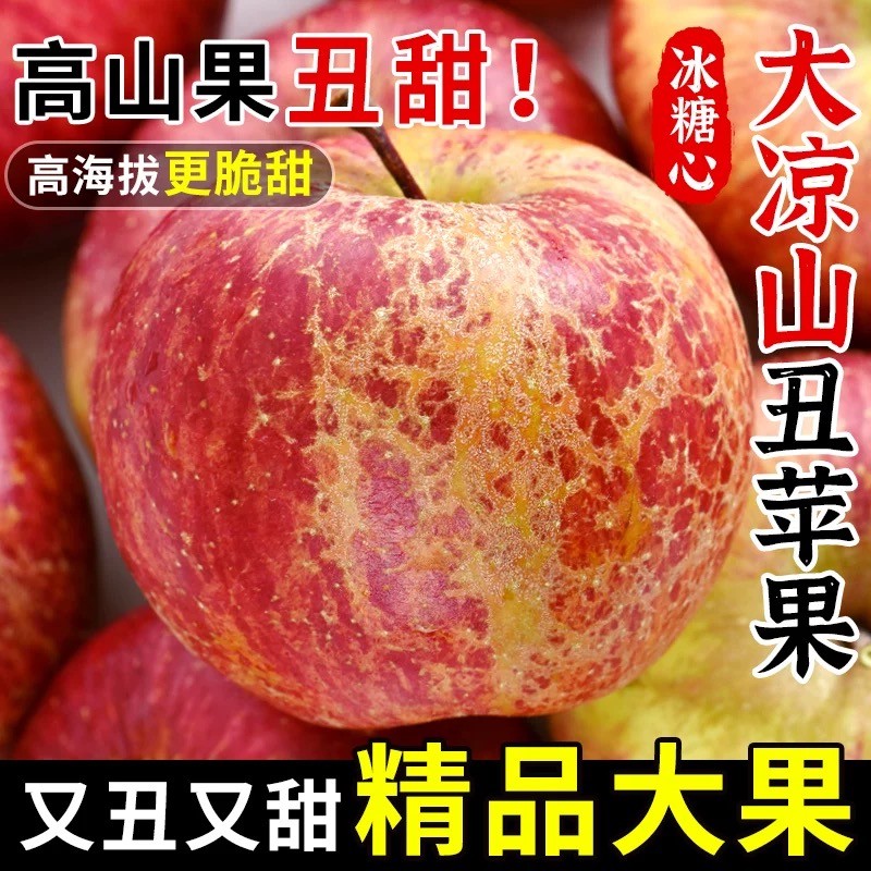大凉山丑苹果冰糖心水果新鲜当季盐源四川红富士苹果