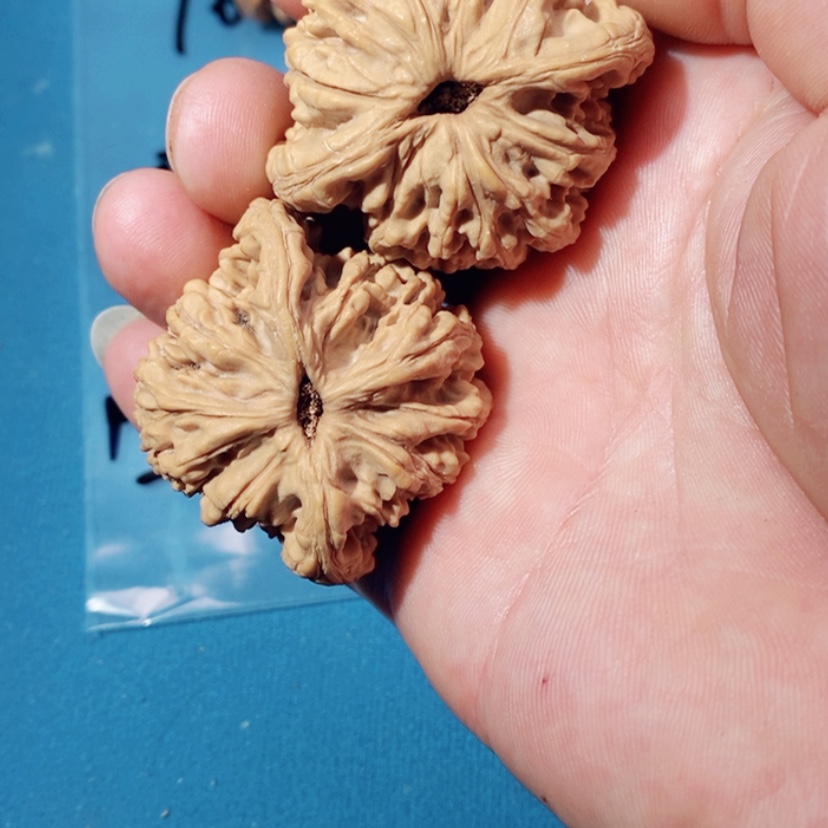 【闪购商品】文玩核桃吊坠晓25:25:25.25