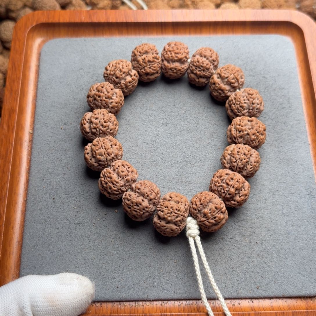 菩提菩提8号尼泊尔大金刚21龙牙梅花