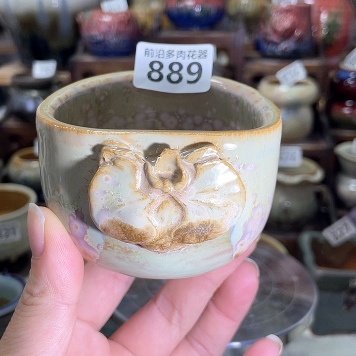 红陶内口径6高度7