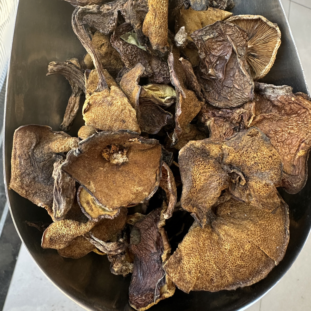 东北长白山野生松蘑干货特产松菇山饿子可炖鸡食用