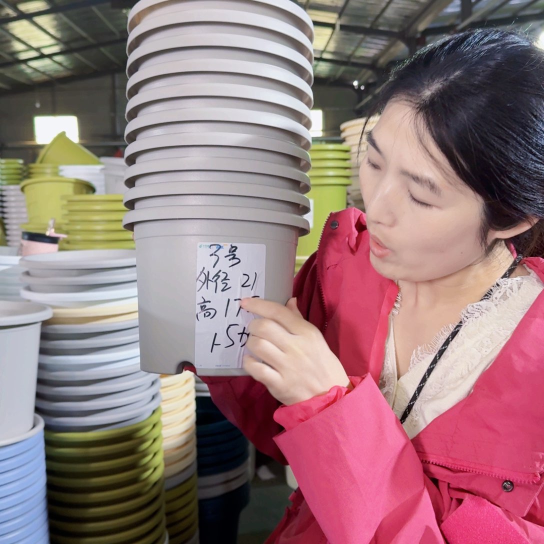 微瑕3#无拖灰白10个