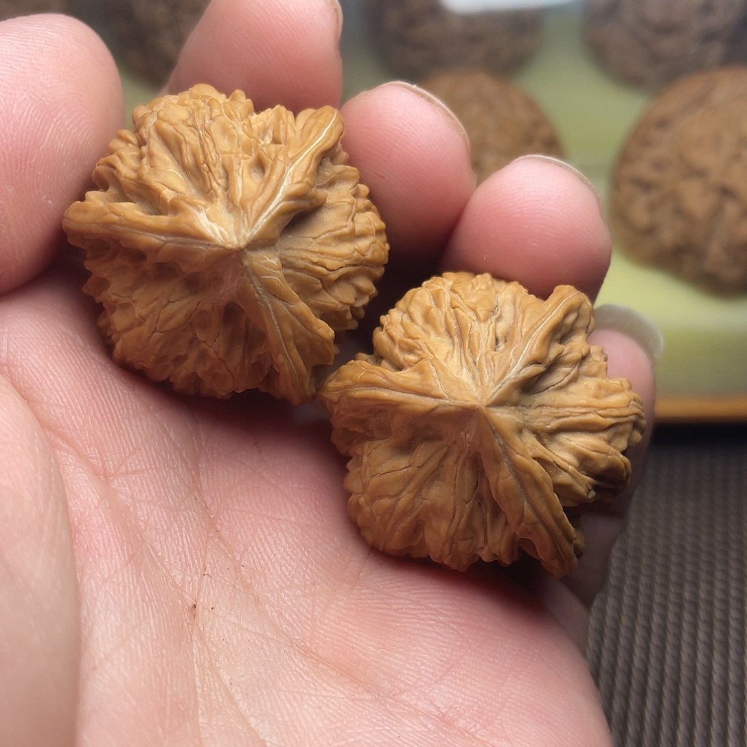 文玩核桃把件追御龙