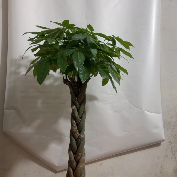 完全开放hhhhhhhhhhh