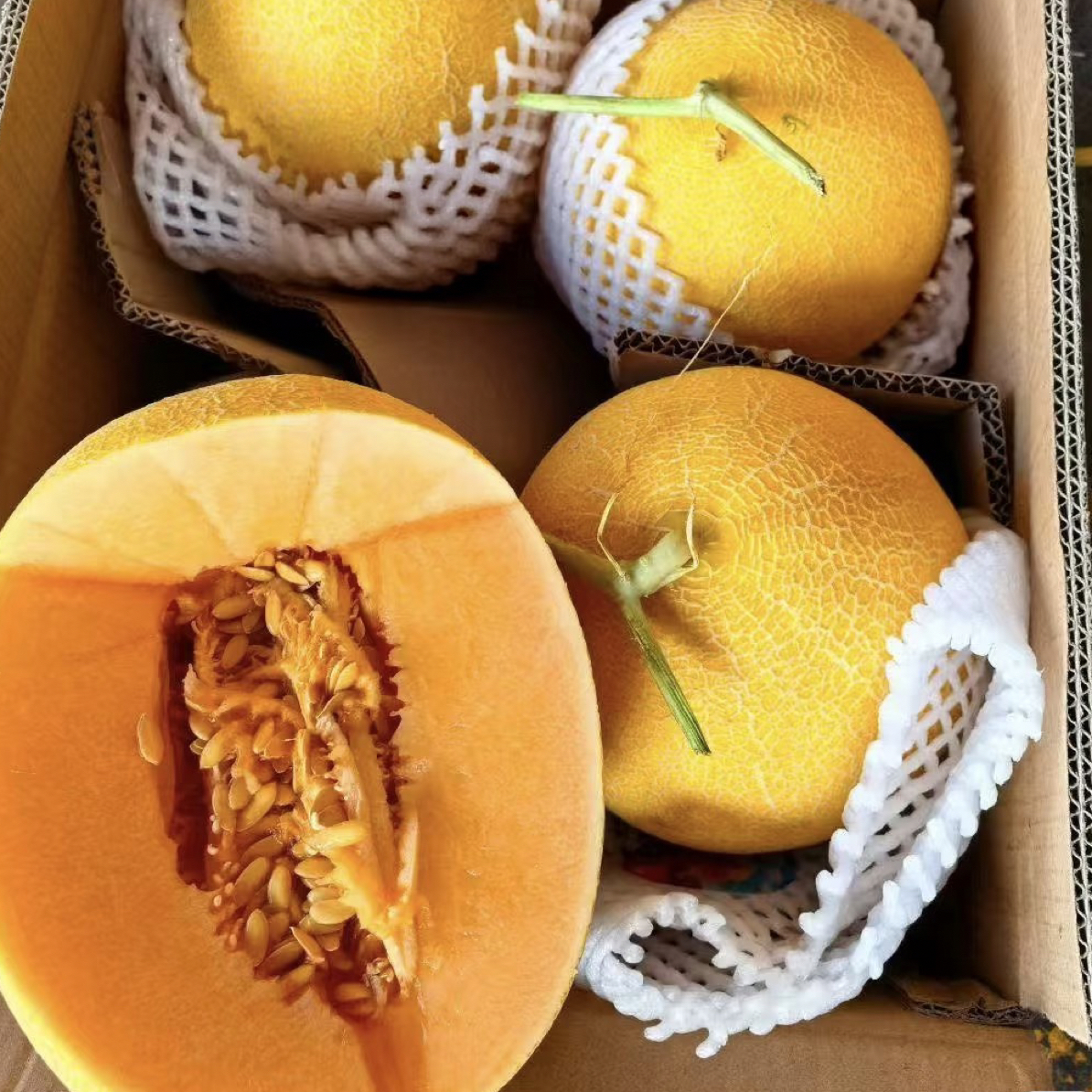 「整果」黄金哈密瓜一个约1.5kg皮薄肉厚甜脆口感整果配送