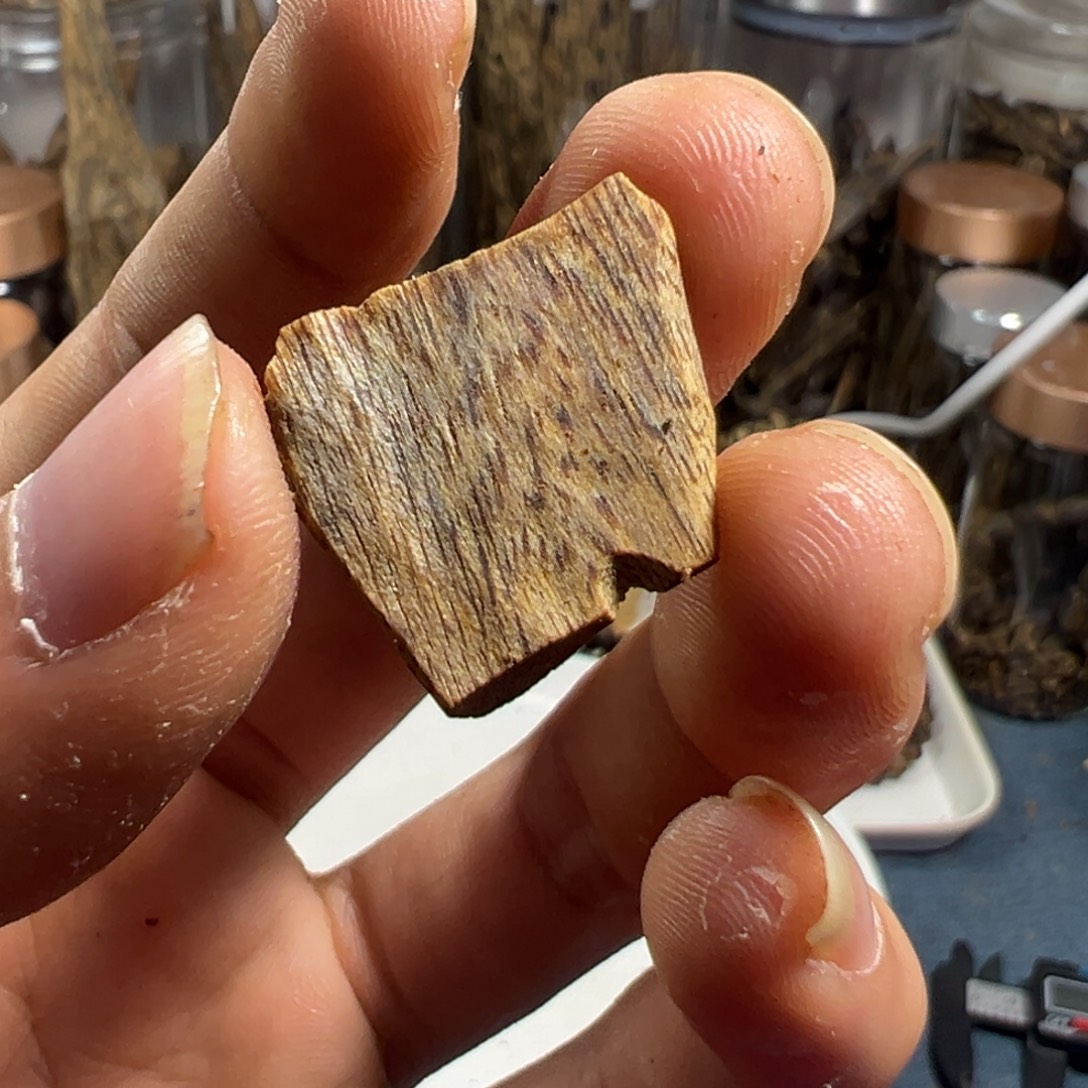 沉香沉香碎屑陆河料1.1克