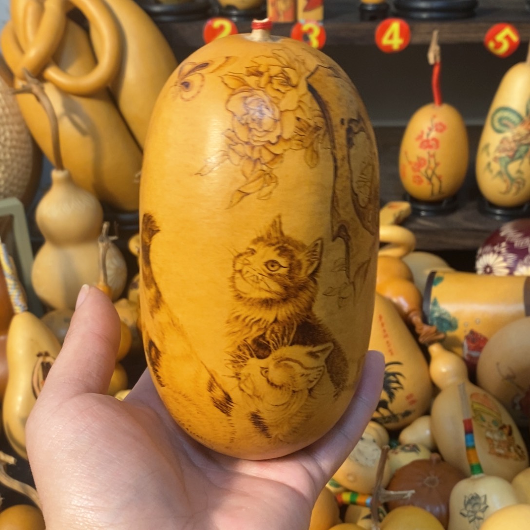 鸿**头呃呃呃呃呃呃呃呃呃呃