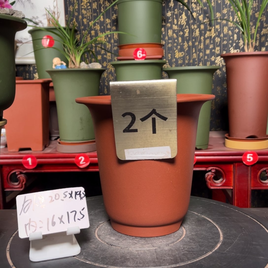 紫砂花盆紫砂花盆