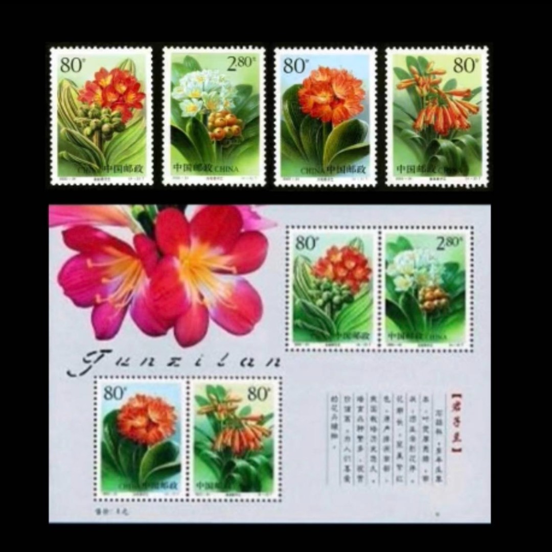 【未评级】2000-24君 子 兰邮票 套票➕小型张 邮票收藏