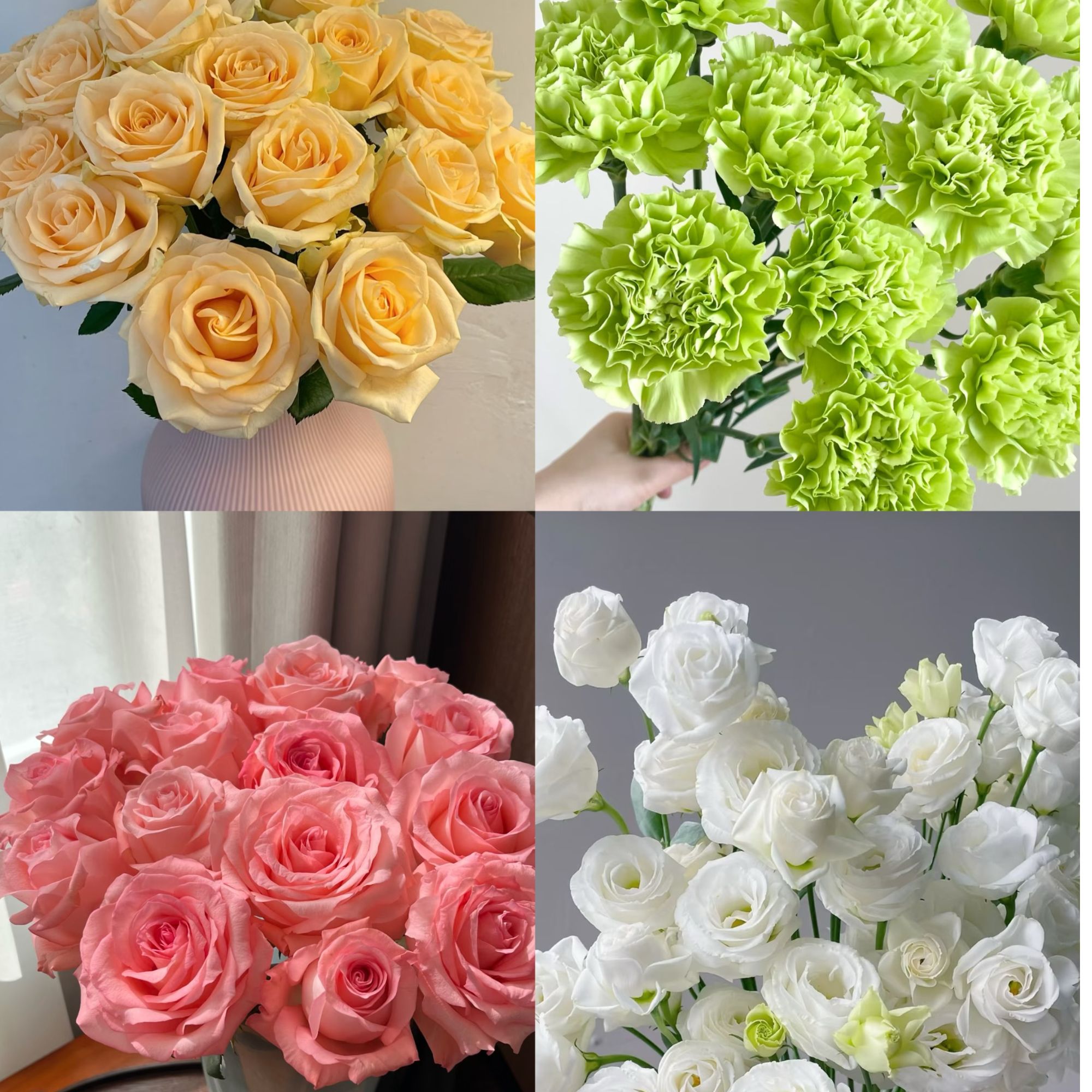 【王妃花束】精致生活花束顺丰包邮三单送配草 云南鲜花基地直发