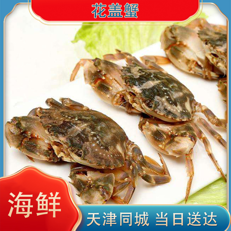 花盖蟹【保鲜不保活】 1斤5-6只左右，1只2两左右，天津当天到