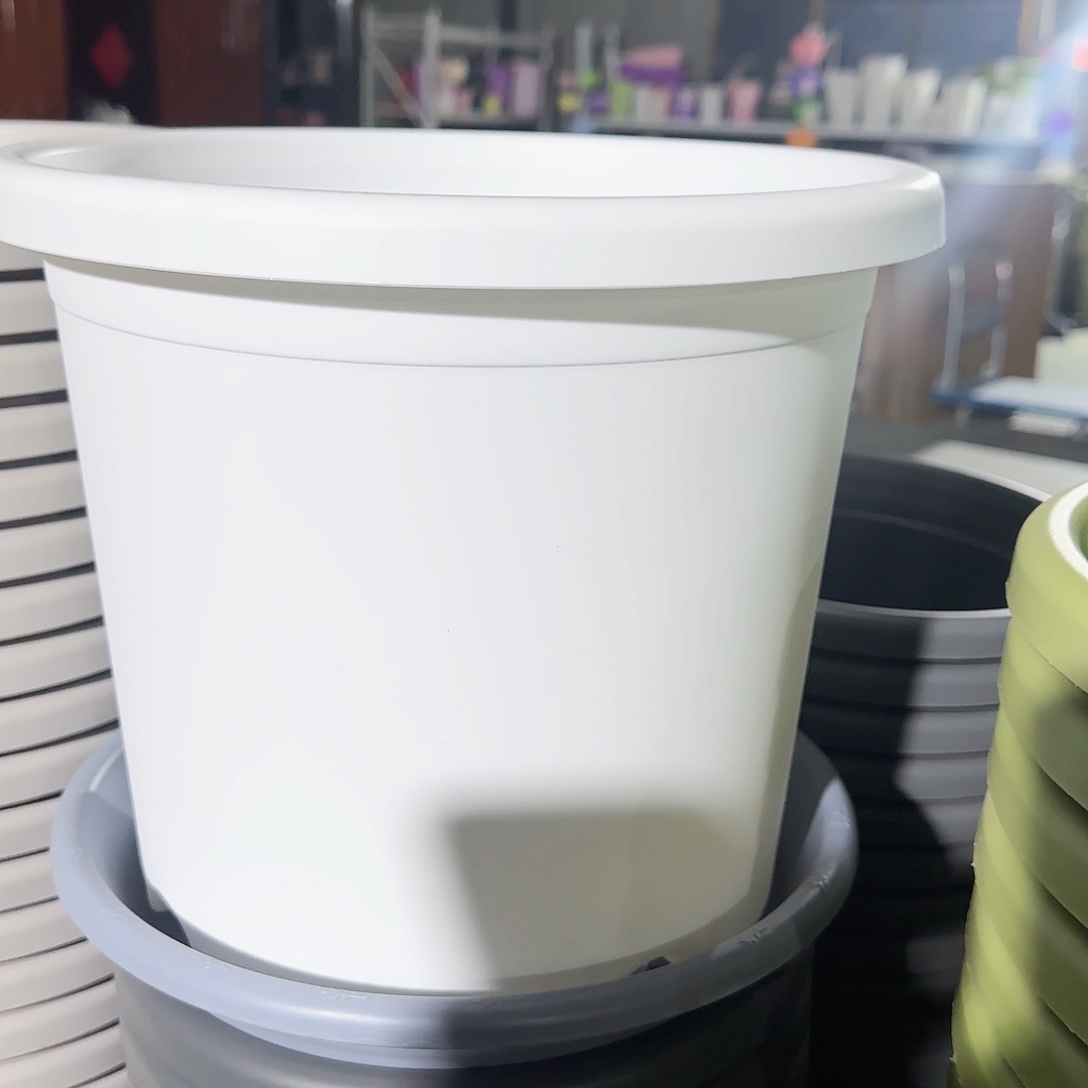 树脂四季5#无拖纯白6个