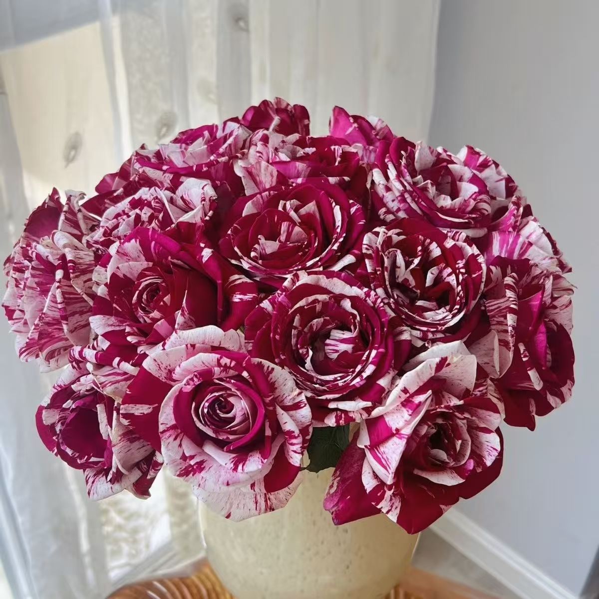 【一单包邮-爱必达 水瓶座玫瑰】云南直发玫瑰鲜花