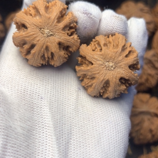 ઇ***ଓ文玩核桃吊坠秦岭核桃8