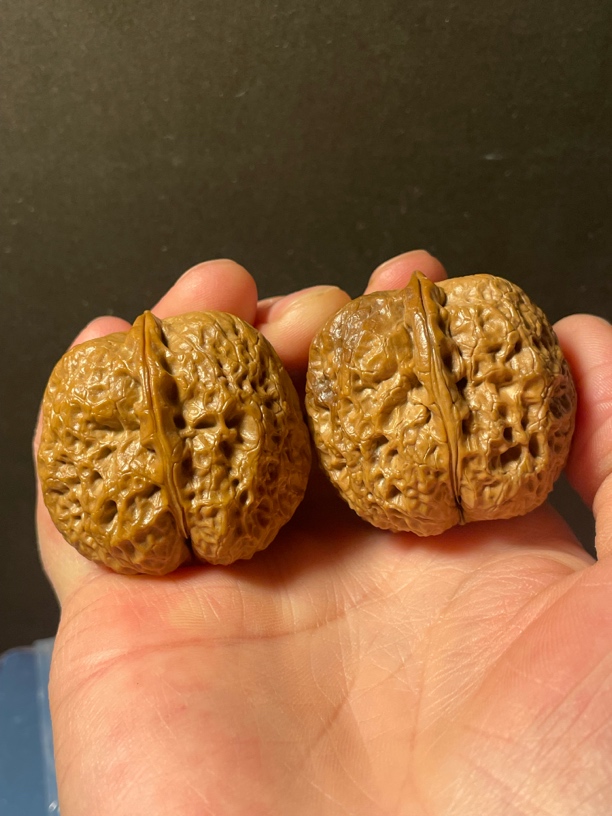 40包浆核桃122501云南野生铁核桃平头哥彩阴包浆上色