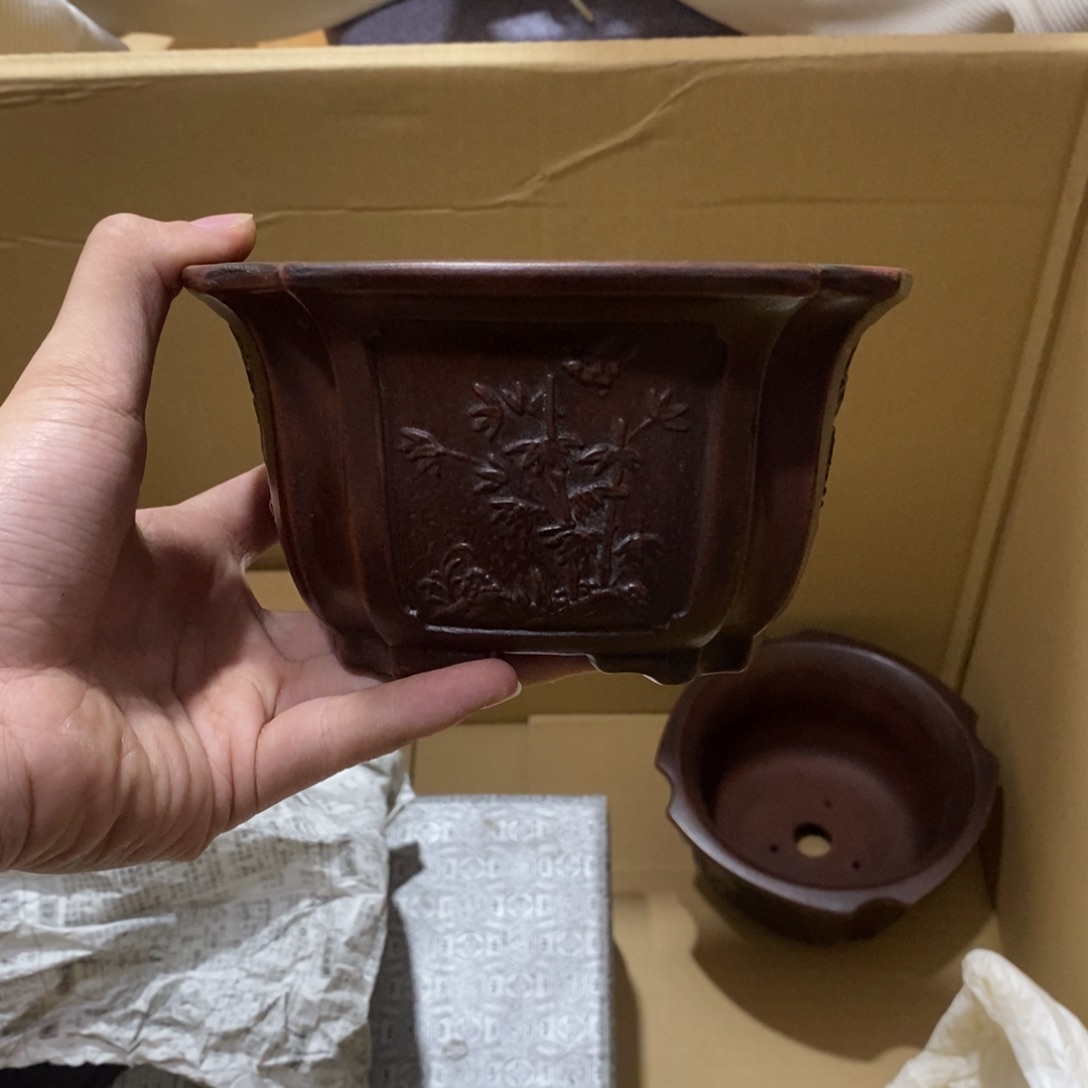 壶c g f g h j h g h j n n n t