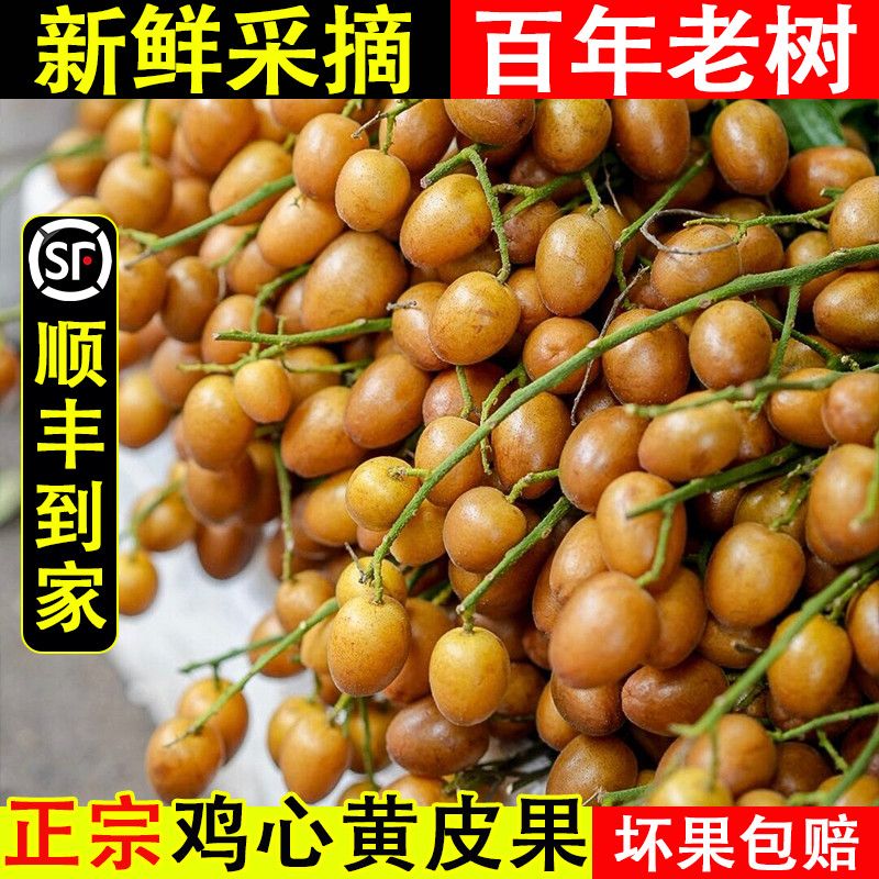 【顺丰+现货】新鲜鸡心黄皮果当季酸甜多汁孕妇水果仙女果整箱1/6斤
