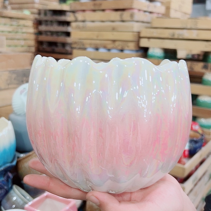 花盆有孔！订单凑满10米包由！