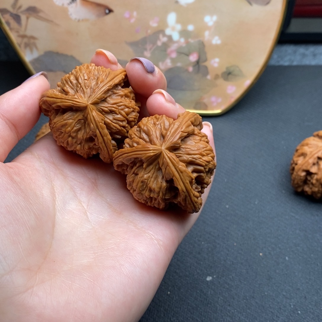 泳白狮子11111111111