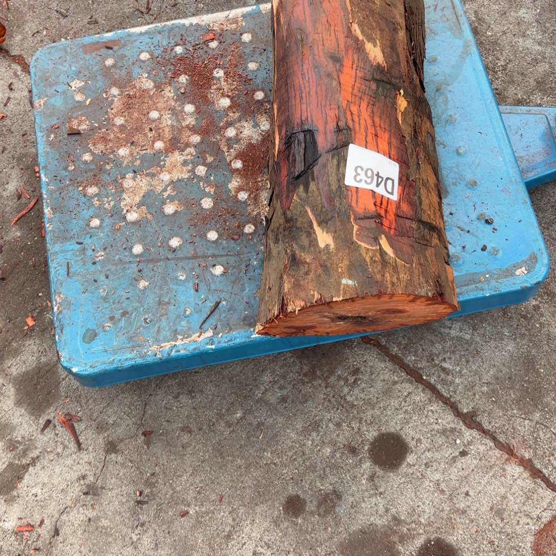 绿泥一物一拍血檀编码463