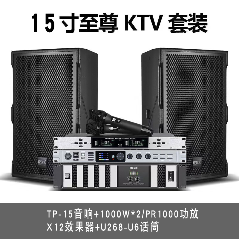  德国 WEDL专业户外K歌TP套装舞台家用高端K音箱酒吧唱歌