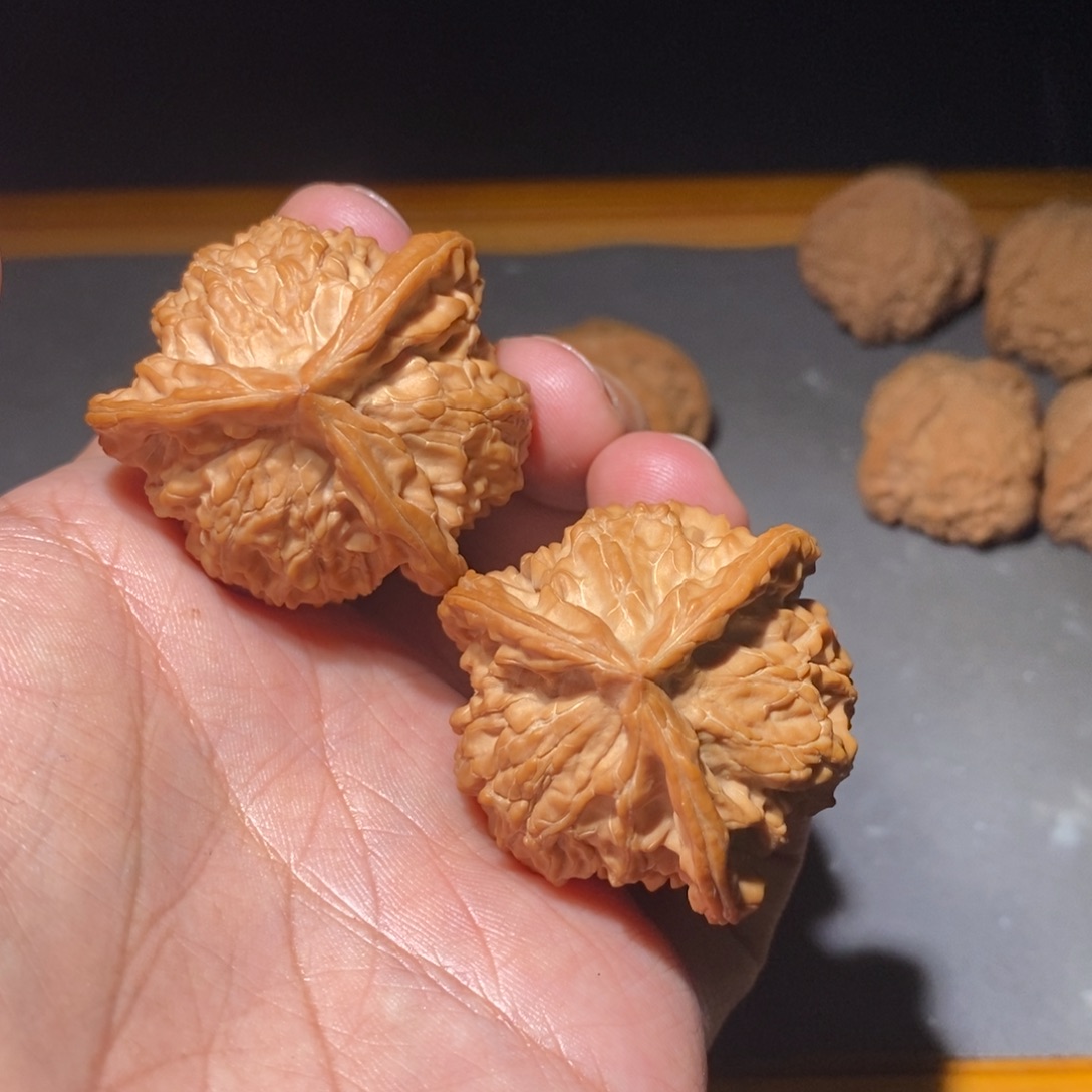 木质类41盘山全品
