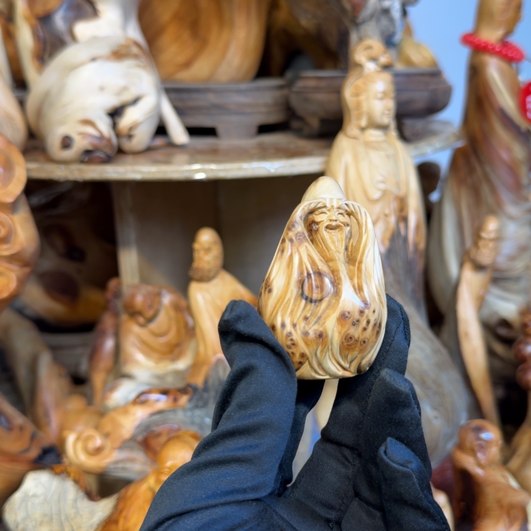 柏木（崖柏）6666666