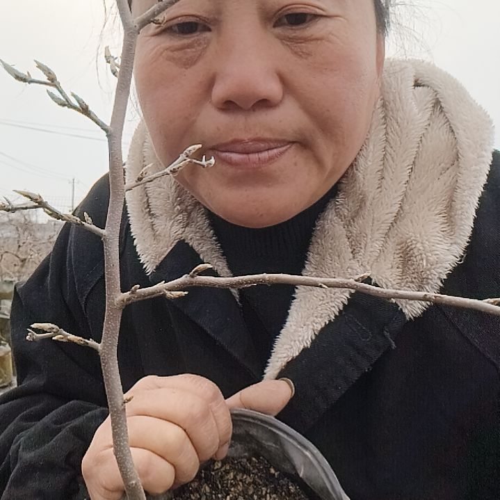 快***生无花朵12354558989