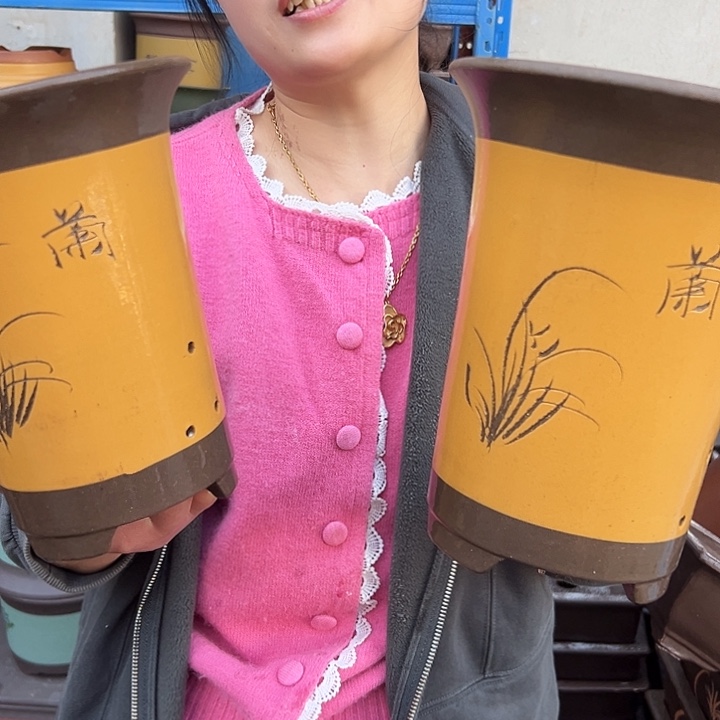 17+21黄兰花盆花盆花盆花盆花盆