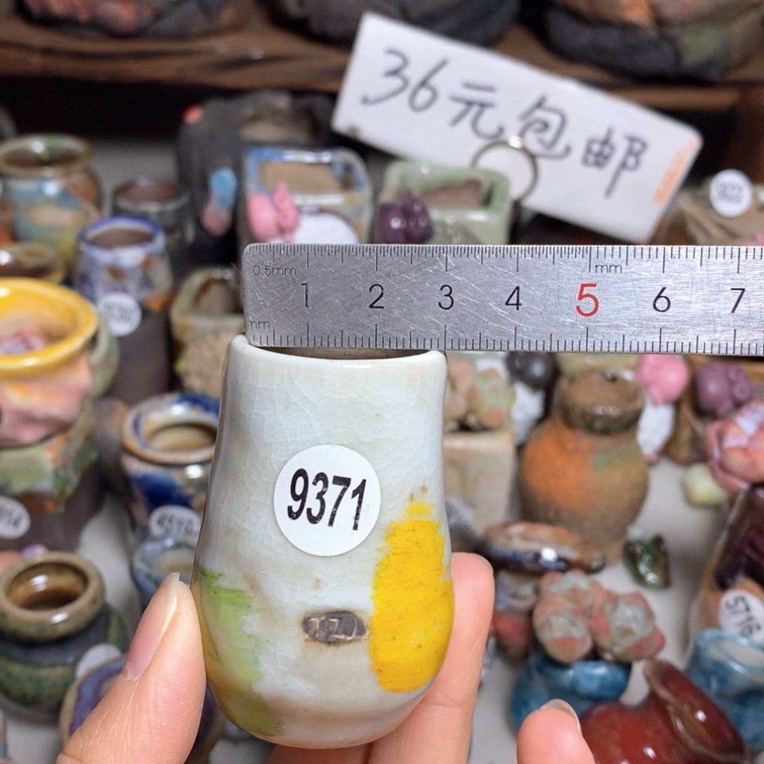 拍5送一个小礼物