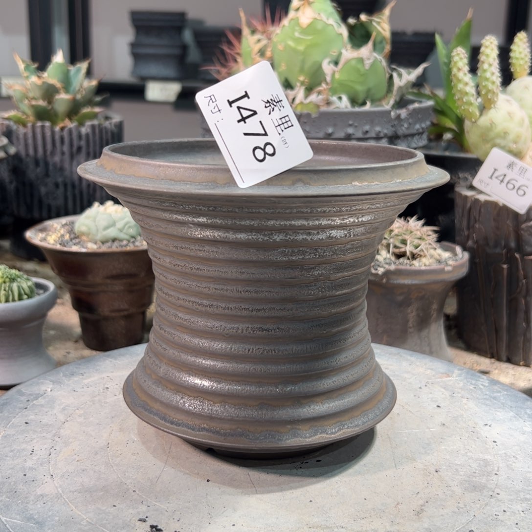 景德镇死素里手工内口13.5高13.5