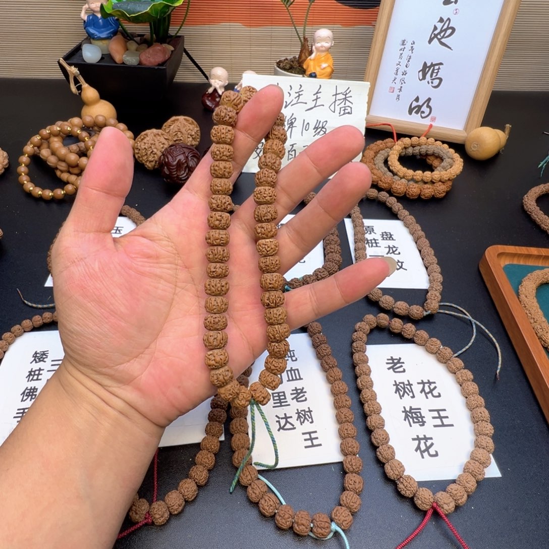 一***叨手串金刚菩提金刚菩提子手持树王籽龙切一条