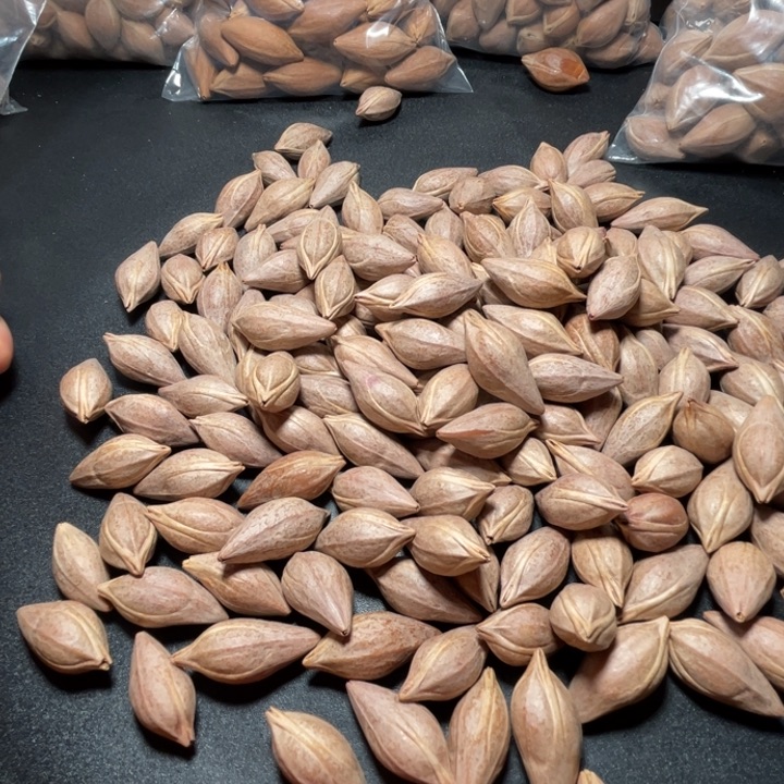 神***云猪牙手串/手链我是