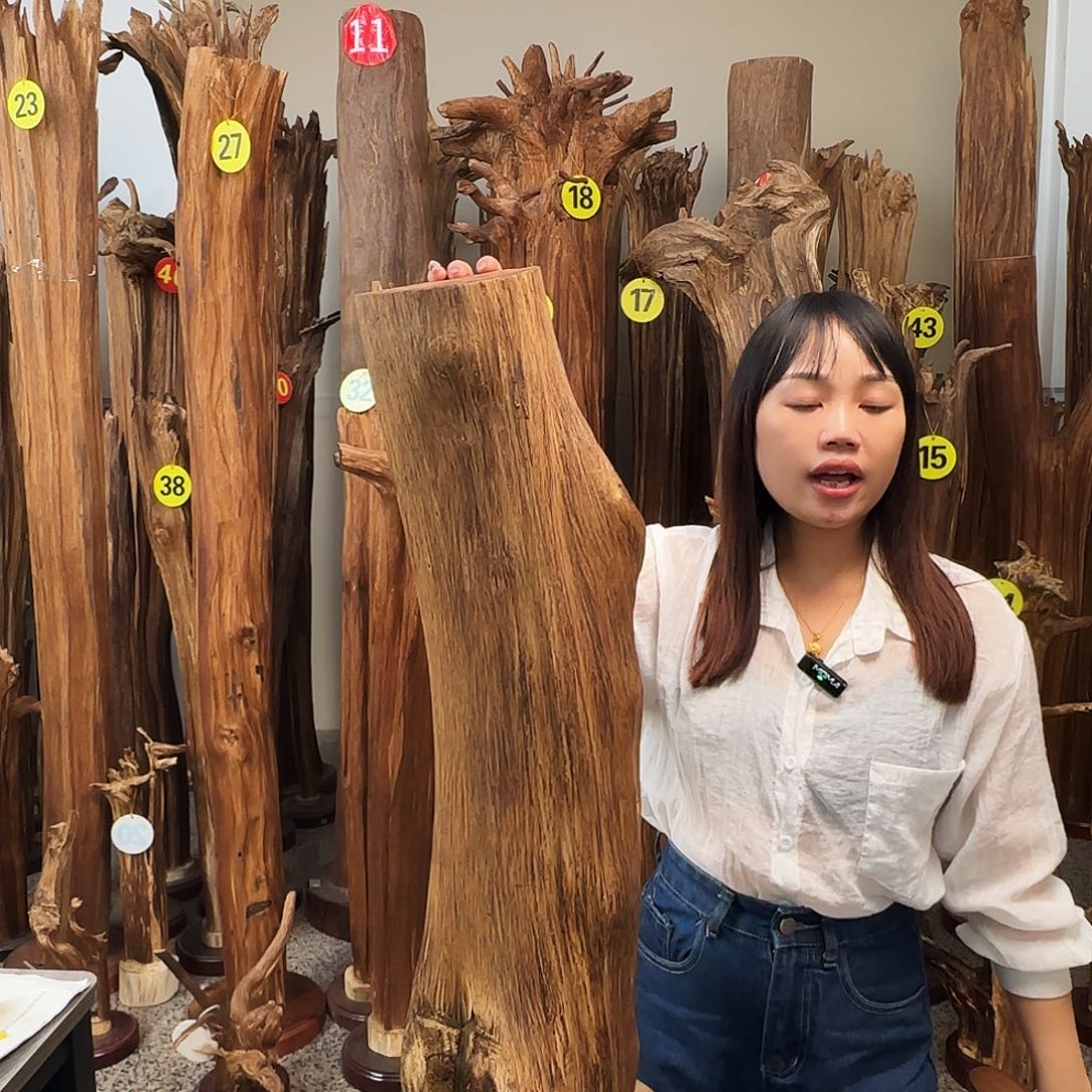 用***5沉香碎屑沉香天然沉香原材料香料熏料