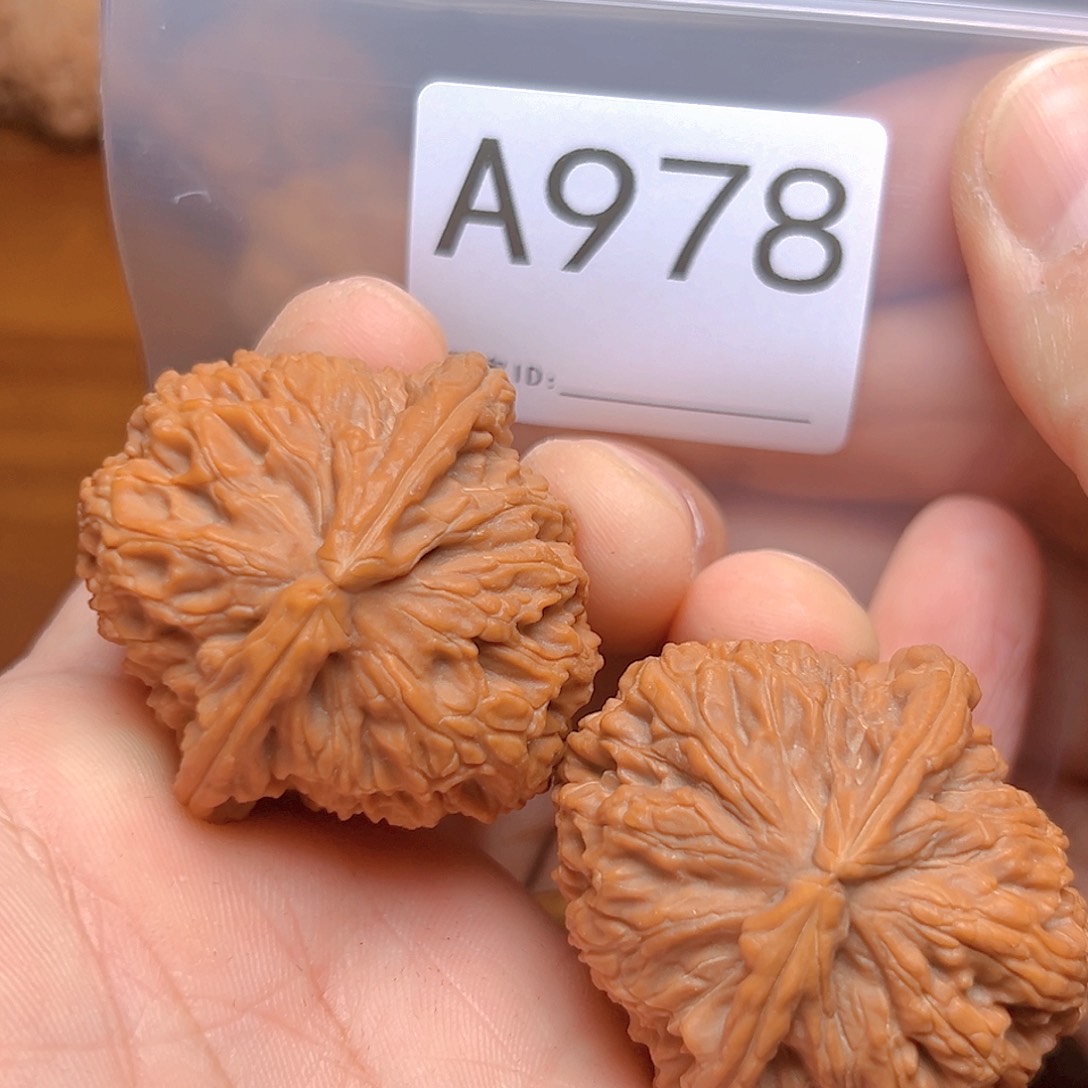 文玩核桃吊坠40➕白狮子