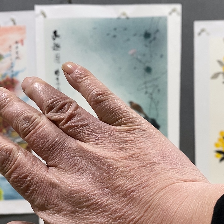 国画手写手绘作品502