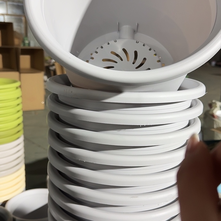 四季6号新灰白无托7个