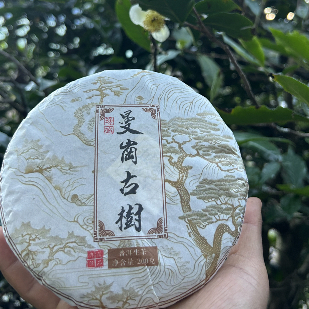 曼岗古树纯料！茶气猛！ 