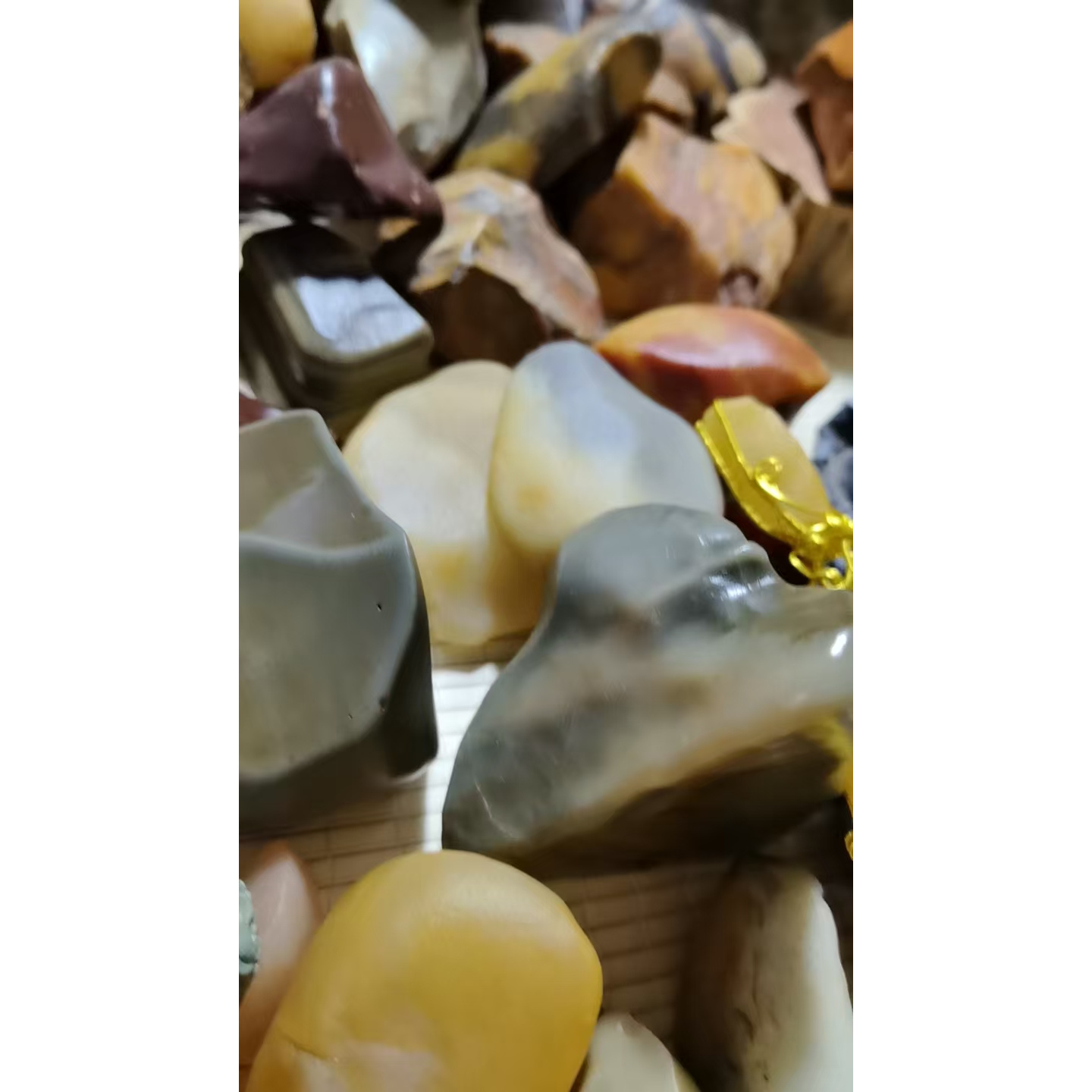 新疆五彩石盆景石选购直播间