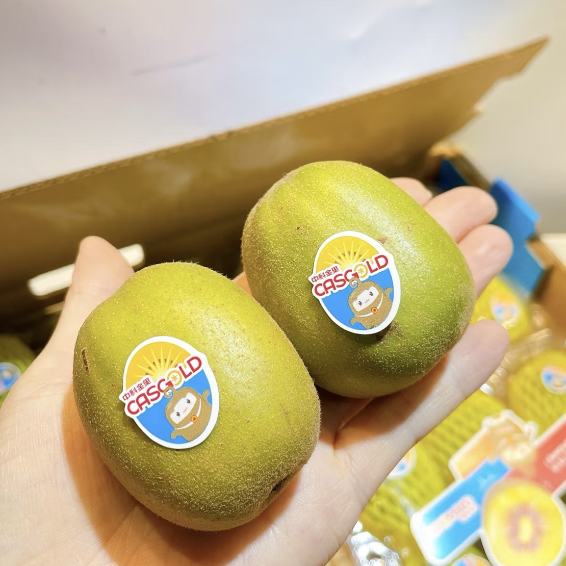 【红黄心猕猴桃】 微软之后 爆甜 V C 小巨人四川省