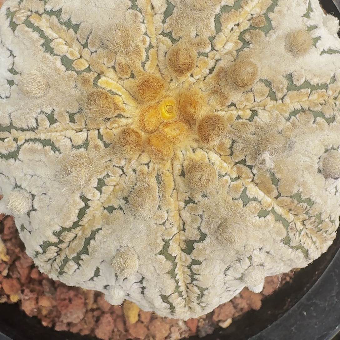 我****0哈哈哈哈哈哈哈哈哈哈哈哈